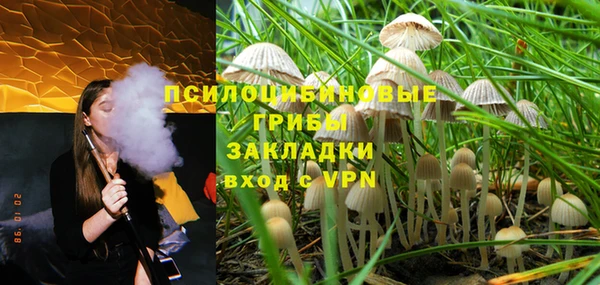 mdma Новодвинск