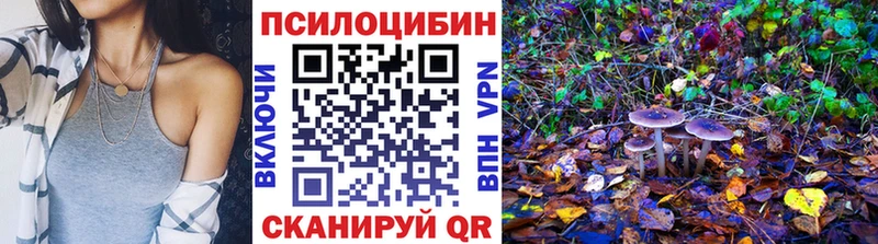 купить наркотики сайты  Нальчик  Псилоцибиновые грибы ЛСД 