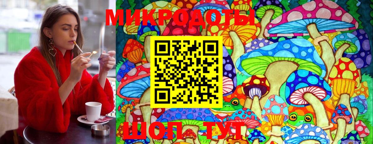 Галлюциногенные грибы Cubensis Нальчик