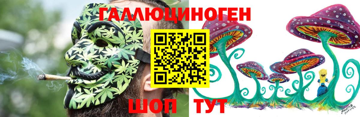 сколько стоит  Галлюциногенные грибы прущие грибы  Галлюциногенные грибы мухоморы  Вход с VPN  Нальчик 